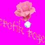 Sherry Conner Photo 30