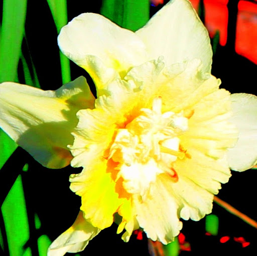 Kathryn Cox Photo 45