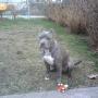 Debra Cowley Photo 19