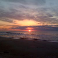 Janice Jamison Photo 12