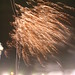 Robin Wolf Photo 23