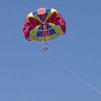 Scott Lester Photo 29