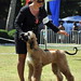 Amy Schultz Photo 12