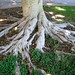 Barbara Root Photo 12
