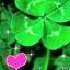 Andrea Casey Photo 22