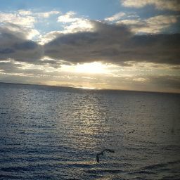 Patrick Falk Photo 6