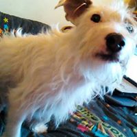 George Dow Photo 27