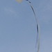 Lester Martin Photo 41