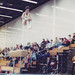 Michael Lawless Photo 28