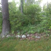 Dianne Fuller Photo 26
