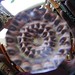 Crystal Haight Photo 17