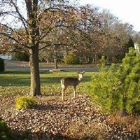 Mary Gerlach Photo 17