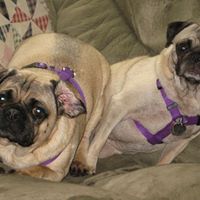 Cindy Brinkman Photo 28