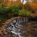 Sharon Wood Photo 22