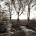 Lee Wood Photo 12