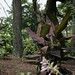 Rex Bush Photo 12