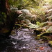 Fern Russell Photo 13