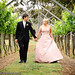 Paul Vine Photo 11
