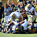 Reggie Coleman Photo 39