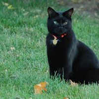 Philip Tuttle Photo 8