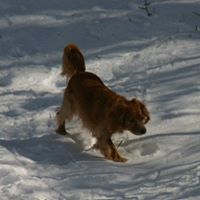 Preston Robertson Photo 14