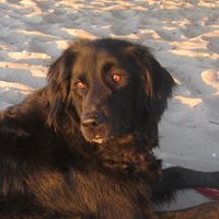 Laura Frisbie Photo 4