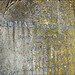 Thomas Moody Photo 24