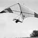 Tony Downing Photo 14