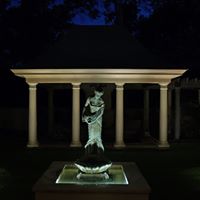 Stephen Schafer Photo 27