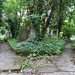 Alice Abney Photo 10