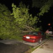 Mark Forsythe Photo 20