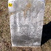 Andrew Westbrook Photo 29