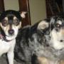 Judy George Photo 37