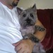 Steve Shea Photo 33