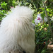 Jake Sharp Photo 14