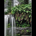 Fern Russell Photo 16