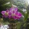 Cong Trinh Photo 13