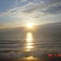 Tracy Fortune Photo 20