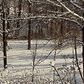 Janet Griffis Photo 6