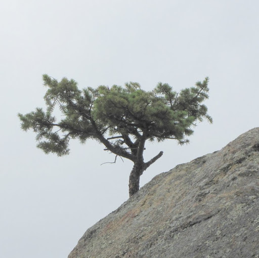 Michael Fowler Photo 20