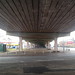 Shannon Barnes Photo 9