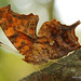 Mark Silver Photo 22