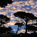 Gary Cloud Photo 18