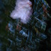 Jaime Schultz Photo 40
