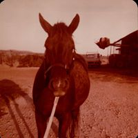 Juanita Cross Photo 26