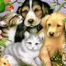 Carol Eicher Photo 8