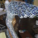 Lynn Applegate Photo 8