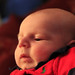 Michael Berube Photo 11