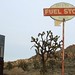 Ed Hopper Photo 35