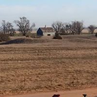John Langley Photo 10